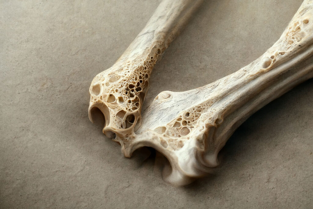Makroansicht der Abbildung der Knochenschwammstruktur